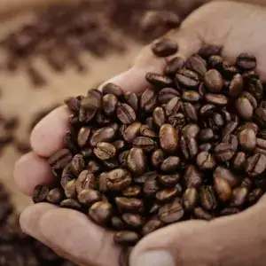 Beans